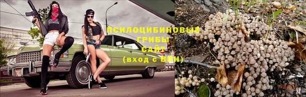 кокаин колумбия Алексин