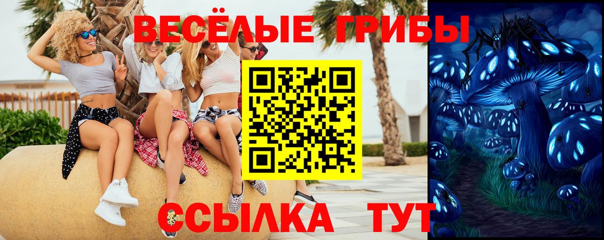 Псилоцибиновые грибы мухоморы Конаково